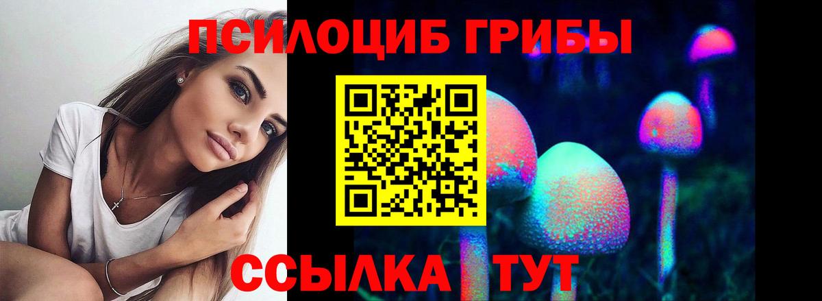 Светлоград  Псилоцибиновые грибы Psilocybine cubensis  Вход с VPN  Псилоцибиновые грибы мицелий 