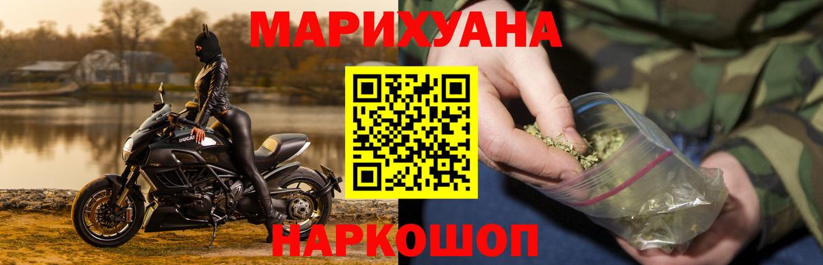 Канабис план Светлоград